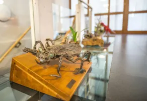 Hotel Praděd Thamm - Image 3