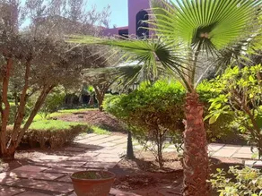 Riad Maslala - Image 4