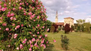 Villa Trissino Rossi - Image 5