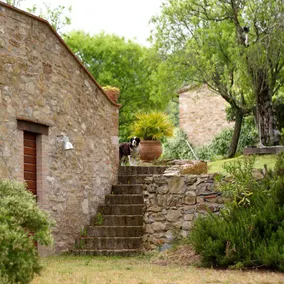 La Casetta nel Bosco - Image 5