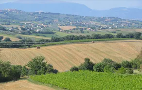 Agriturismo Gli Olmi - Image 3