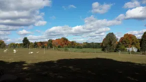 The B&B At Bartlett Farm - Image 3