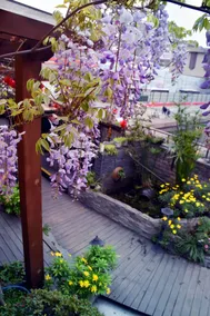 Chengdu Season Inn Youth Hostel - Image 5
