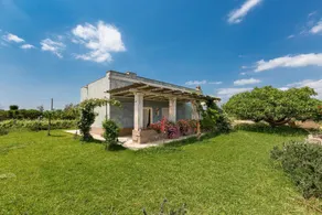 Le Cernicole - Image 5