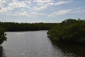 Cove at Sandy Pointe by RedAwning - Image 3