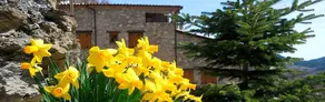 Casa Insol - Image 5