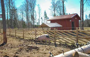 2 Bedroom Cozy Home In Kosta - Image 3