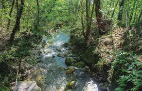 Il Quercetino - Image 3