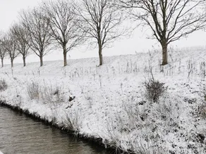 Dike House in Schoondijke Near Beaches - Image 2