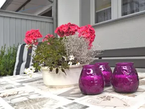 Modern and lightly-furnished holiday home in Harz with garden and terrace - Image 2