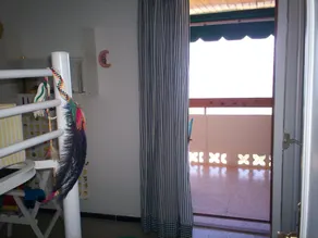 Comfortable Apartment on the 10t Floor With Seesight and Balcony - Image 2