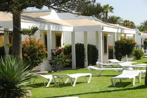 Bungalows Tajaraste - Image 3