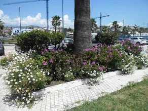 Studio in Caleta de Vélez, With Wonderful sea View, Pool Access, Enclosed Garden - 200 m From the Beach - Image 2