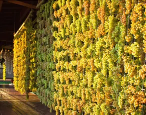 Soave Relais Castelcerino - Image 3