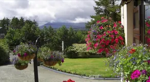 Hilton Heights B&B - Image 5