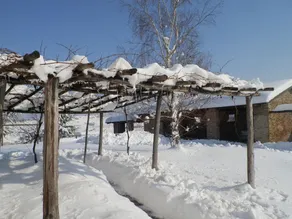 Cà Dra Topia (The Grape Pergola House) Near Alba. Charming House - Italy - Image 3