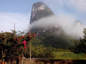 Pure Joy Resort - Image 5