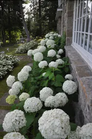 Au Gîte Pantoufles Et Pamplemousse - Image 2