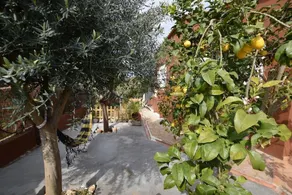 Villa Marilda Manacor - Image 3