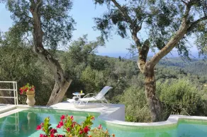 The Windmill in Kourteika - Image 5
