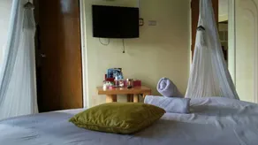 Raffles Villa - Image 2