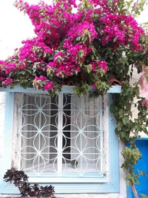 Alacati Frida Butik Otel - Image 5