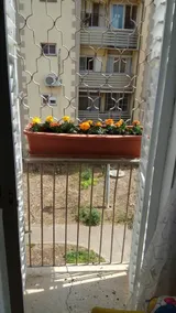 In our place - Image 5