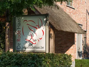 De Rode Haas - Image 3
