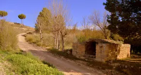 Paraiso - Image 3