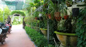 Leaf Homestay - Image 3