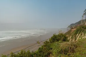 Bears Head - Image 4