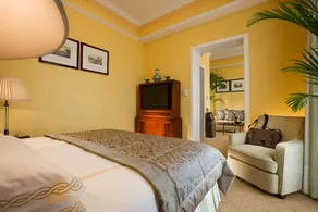 Ex Palm D'Or - Image 3