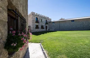 Castillo Goyito y Castillo Eugenio - Image 5