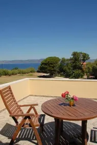 Olive Grove - Image 2