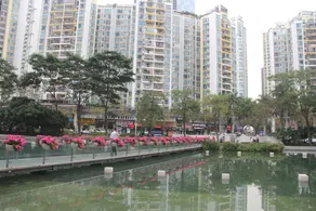 Kailida International Hotel Shenzhen - Image 3