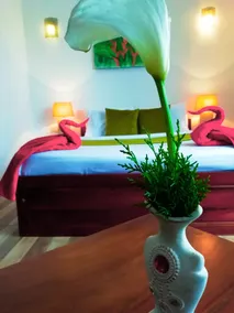 Vishmi's Rest - Image 2