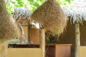 Green Ayurvedic Resort - Image 2