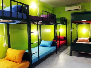 Treechart Hostel - Image 5