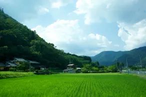 Miyama Futon & Breakfast Thatched Cottages - Image 3