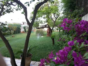 Alma Terra Salento B&B - Image 5