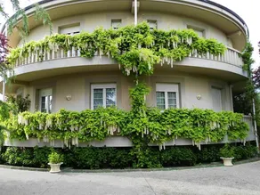 Mansion With 4 Bedrooms in Congosto, With Enclosed Garden and Wifi - Image 5