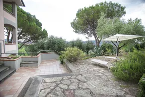 I profumi della collina - Image 2