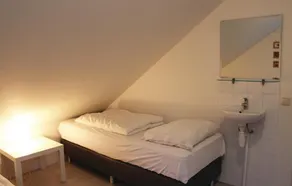 Bergeend - Image 3
