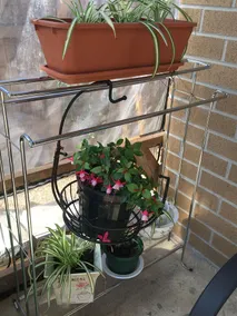 Lovely house - Image 4