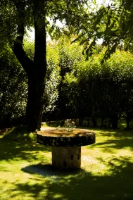 Palácio de Rio Frio - Image 2