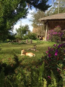 Doris B&B - Image 4
