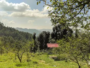 Apple Avenue Camps By OYO Rooms - Image 4