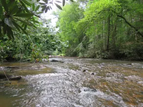 The Bear's Creek Retreat by Escape to Blue Ridge - Image 2