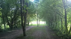 Gite Des Etangs De Beaulieu - Image 3