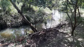 Isiwara Paura Ayurvedic lodge - Image 3